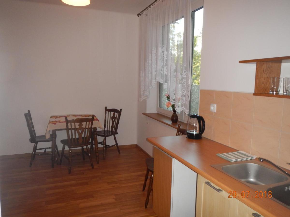 Apartament Providentia Zakopane Witkiewicza 3 Exterior foto